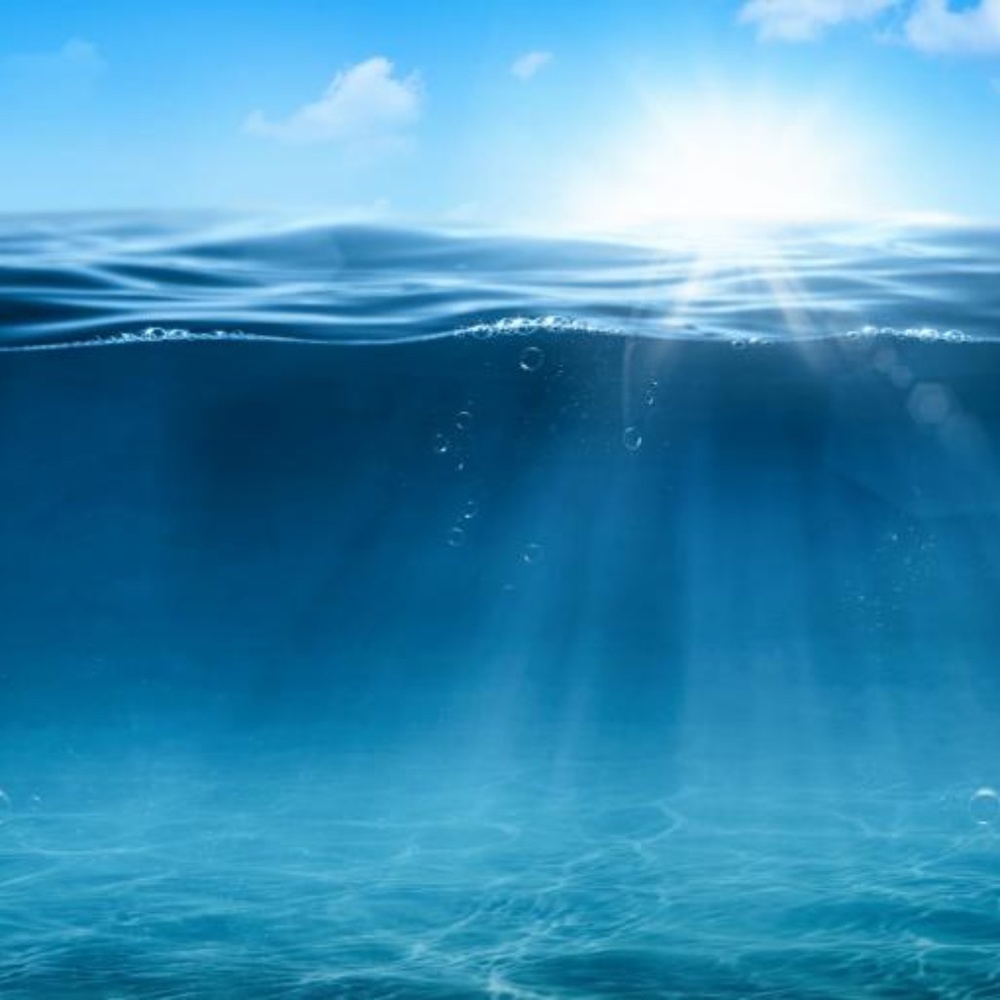 Meet your Posher, Evie.